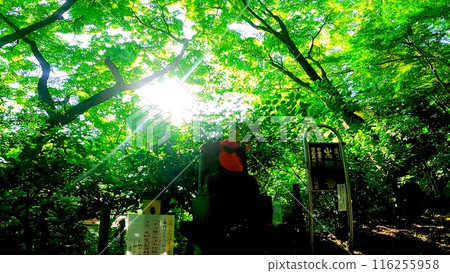 高畠不動尊88所參拜道 116255958