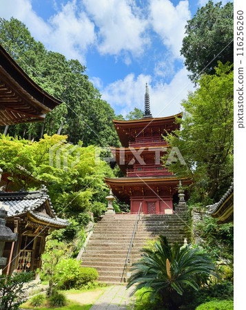 長命寺 滋賀縣近江八幡市 116256260