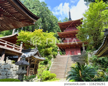 長命寺 滋賀縣近江八幡市 長命寺 滋賀縣近江八幡市 116256261