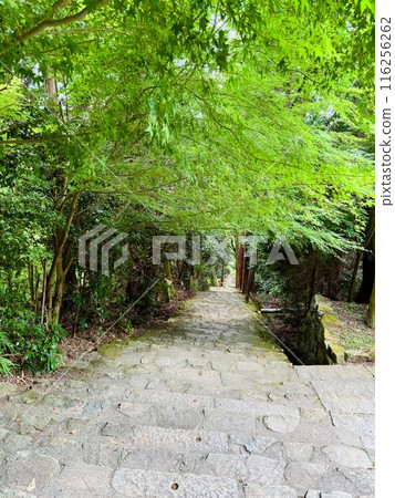 長明寺長階梯 長明寺長階梯 116256262