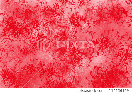 Red spider lily, spider lily flower card texture style 116256399