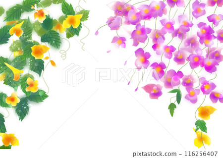 吊船莊花卡1 吊船莊花卡1 116256407