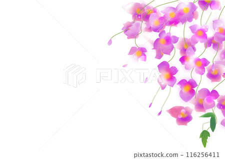 吊船莊花卡5 吊船莊花卡5 116256411