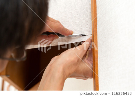 A craftsman replacing wallpaper on a house 116256453