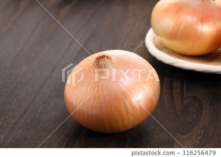 新鮮的洋蔥 116256479