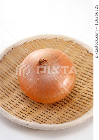 Fresh onions 116256525