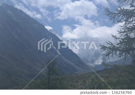 Green plants cover the mountain slope with a mountain range in the distance Green plants cover the mountain slope with a mountain range in the distance 116256760