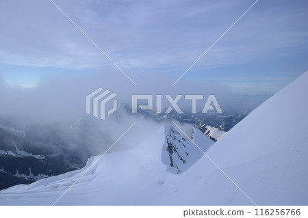 Tranquil Lake With Lush Green Forest, Snow-Capped Mountain, Blue Sky And White Clouds 116256766