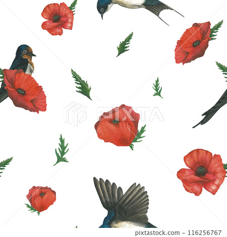 Watercolor pattern of illustrations of swallows and red poppies. Hand drawn, isolated on white background 116256767