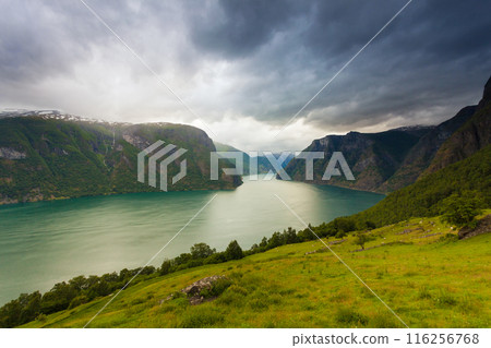 Aurland fjord from Stegastein view point, Norway Aurland fjord from Stegastein view point, Norway 116256768