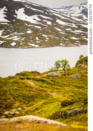 Hardangervidda mountain plateau in Norway 116256778