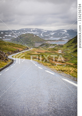 Road landscape in norwegian mountains Road landscape in norwegian mountains 116256784