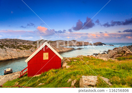 Houses along coastline near Lindesnes lighthouse 116256806