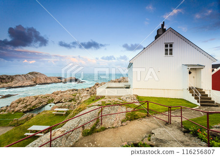 Houses along coastline near Lindesnes lighthouse 116256807