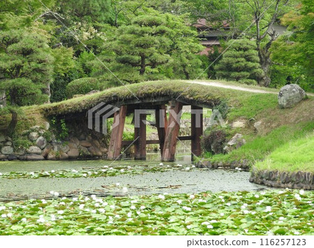 岡山縣津山市的遊覽式日本庭園「樹蓮」：園內的土橋 116257123