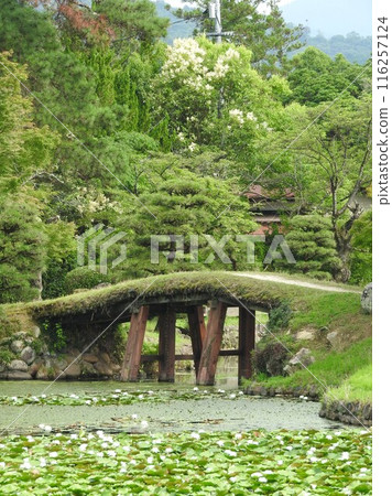 岡山縣津山市的遊覽式日本庭園「樹蓮」：園內的土橋 116257124
