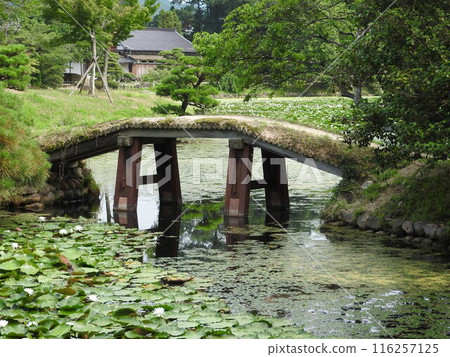 岡山縣津山市的遊覽式日本庭園「樹蓮」：園內的土橋 116257125