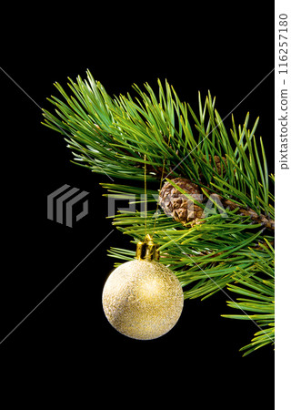 toy cristmas 116257180