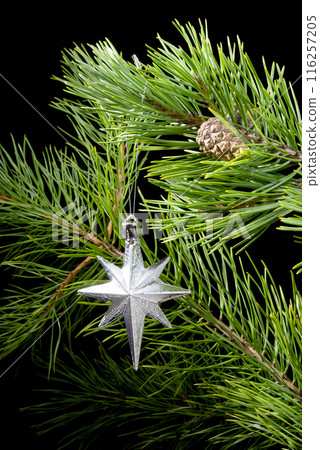 cristmas star in frame branches cristmas star in frame branches 116257205