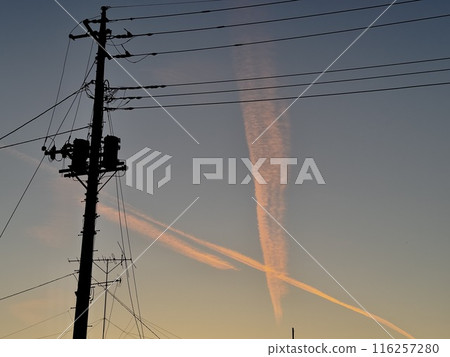 Orange sunset and the silhouette of electric wires Orange sunset and the silhouette of electric wires 116257280