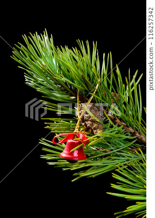 red campanula,Christmas tree ornaments. 116257342