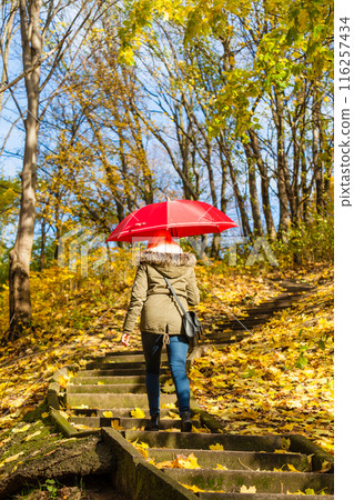 Woman walking in park with umbrella Woman walking in park with umbrella 116257434
