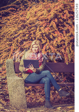 Woman relaxing sitting on bench in park using tablet Woman relaxing sitting on bench in park using tablet 116257549