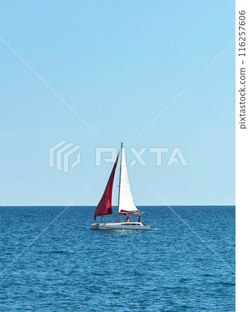 Sailboat in the sea. Clear blue sky. Seascape 116257606