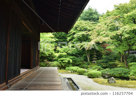 初夏的御座所庭園、仙遊寺 初夏的御座所庭園、仙遊寺 116257704