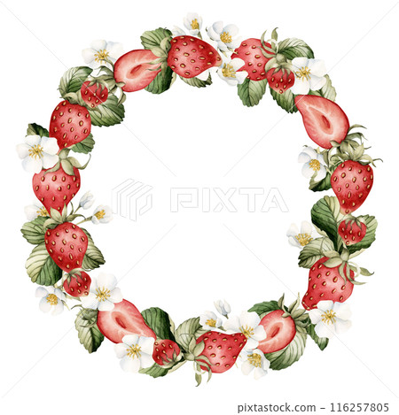Strawberry wreath, berry with flowers, watercolor illustration isolated on white background. Summer garden berry fruits for table textile, porcelain tableware, logo, label and food or cosmetic package Strawberry wreath, berry with flowers, watercolor illustration isolated on white background. Summer garden berry fruits for table textile, porcelain tableware, logo, label and food or cosmetic package 116257805