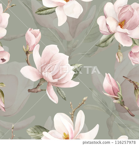 Light pink magnolia flowers with leaves. Watercolor floral seamless pattern on grey blue sage green background. Spring blossom for flower fabric, cosmetic packaging, wrapping paper and home textile 116257978