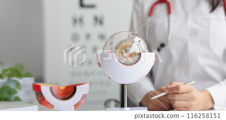 Ophthalmologist doctor in clinic, part of eye model on desk, oculus sample 116258151
