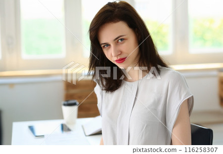 Brunette female, office clerk, presentable outfit, secretary lady on workplace Brunette female, office clerk, presentable outfit, secretary lady on workplace 116258307