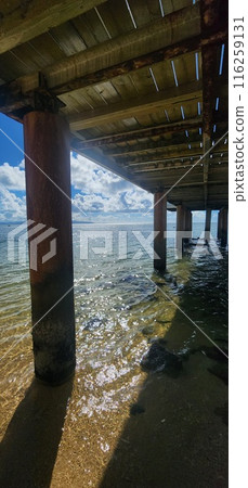 Ishigaki Island in midsummer Ishigaki Island in midsummer 116259131