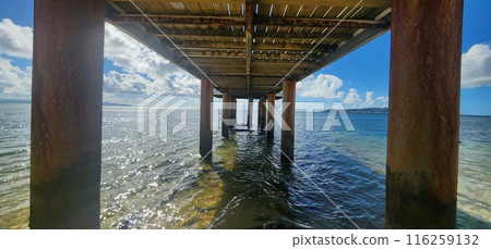 Ishigaki Island in midsummer 116259132