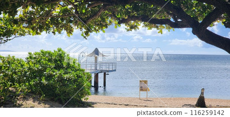 Ishigaki Island in midsummer 116259142