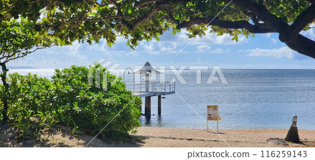 Ishigaki Island in midsummer Ishigaki Island in midsummer 116259143