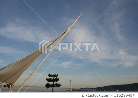 明石大倉海岸夏日的天空 116259494