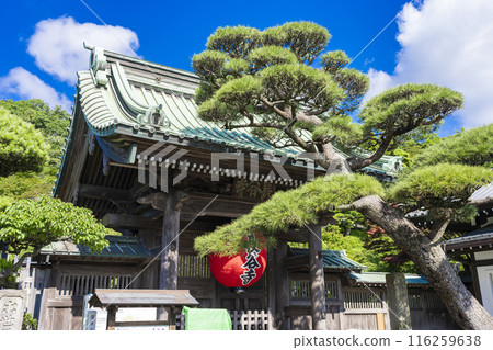 Kamakura Hasekoji Kamakura Hasekoji 116259638