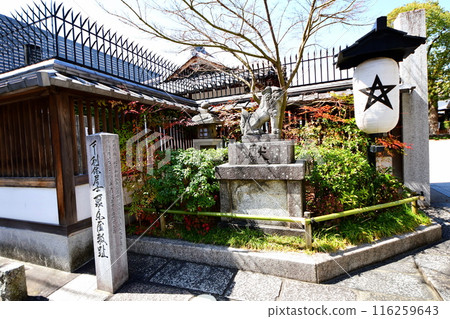 Kyoto Prefecture, Seimei Shrine, Guardian lion, Onmyoji Abe no Seimei, Spiritual deity, Seimeicho, Kamigyo Ward, Kyoto City 116259643