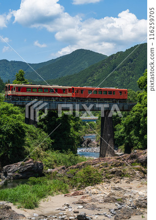 Nagaragawa Railway in early summer Nagaragawa Railway in early summer 116259705