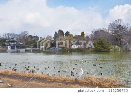 The People's Republic of China Garden at Tsurumi Ryokuchi 116259753