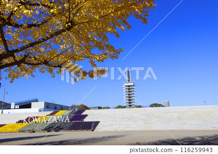 澤駒澤公園 澤駒澤公園 116259943