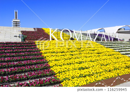 駒澤奧林匹克公園 駒澤奧林匹克公園 116259945