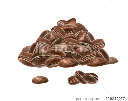 Coffee bean heap. Pile of roasted coffee grains. Enticing aroma and flavor of coffee. Watercolor realistic illustration. Perfect for coffee related projects, advertising, or digital art. Coffee bean heap. Pile of roasted coffee grains. Enticing aroma and flavor of coffee. Watercolor realistic illustration. Perfect for coffee related projects, advertising, or digital art. 116259957