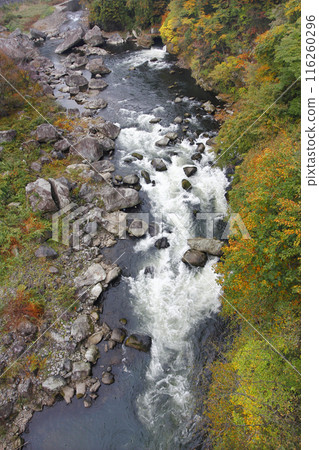 A drone-like view of the autumn-colored valley. The water flowing through the valley made the usual noise, crashing into the rocks with whitecaps. A drone-like view of the autumn-colored valley. The water flowing through the valley made the usual noise, crashing into the rocks with whitecaps. 116260296
