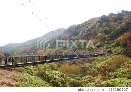 We cross the Kinugawa River, covered in autumn leaves, over a suspension bridge. I'm sure there are people enjoying themselves rafting down the mountain stream below, splashing about in the water. 116260297
