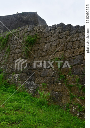 勝蓮城 197 116260813