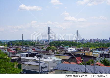 Tokachi Bridge as seen from Suzuran Park in Otofuke Town 116260874