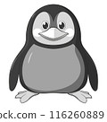 Cartoon Penguin 116260889